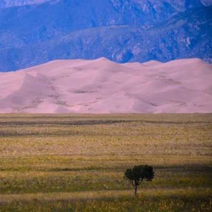 دانلود آهنگ گلپا مزرعه